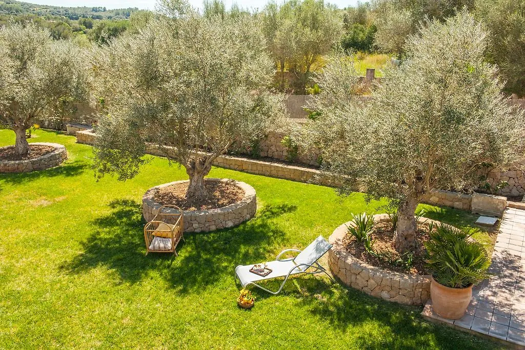Agroturismo Son Burgues Petra  Hotel