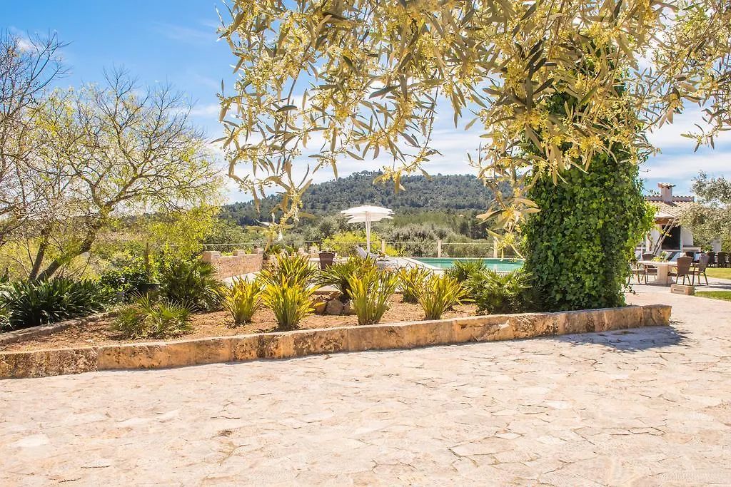 Agroturismo Son Burgues Petra